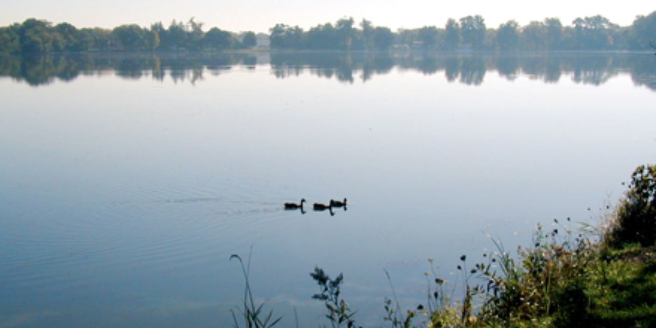 Duck Farm Forest Preserve